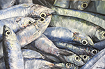 J�se Manuel �balos - BRILLOS DE VERANO 150 X 100