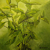 Aconteceres 2007