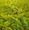 Aconteceres 2007