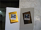 Exposición Firmat