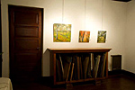 EXPOSICIÓN ÁBALOS VENADO TUERTO - ARGENTINA - MAYO 2013