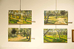 EXPOSICIÓN ÁBALOS VENADO TUERTO - ARGENTINA - MAYO 2013